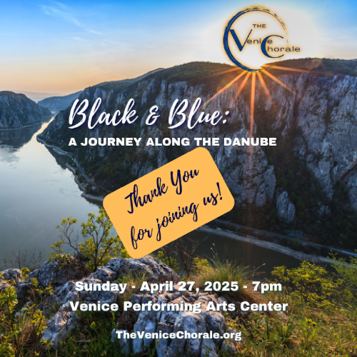 black and blue thank you